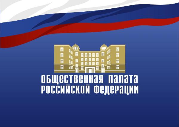 Представитель СИНФО принял участие в слушаниях в Общественной палате